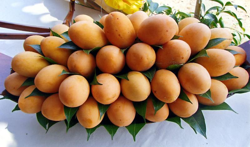 มะปราง3