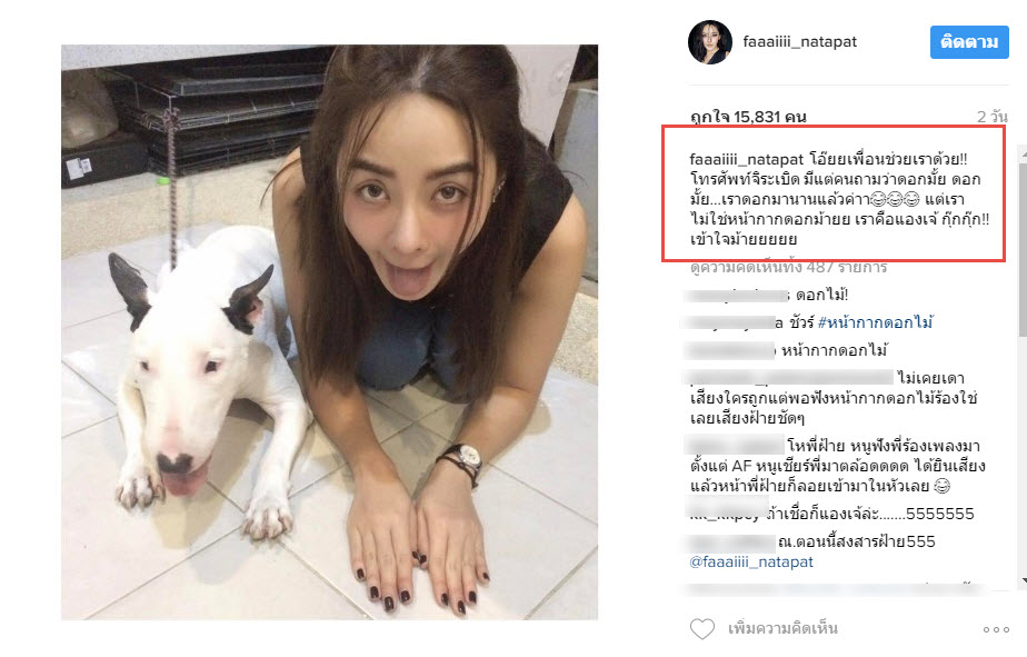 ปุยฝ้าย-1