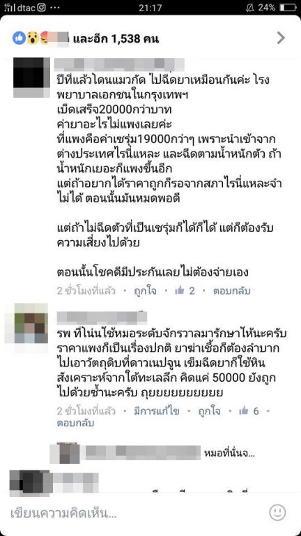 แมว-4