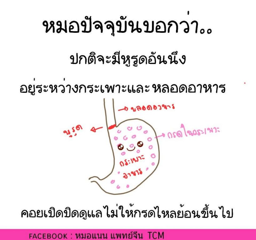 กรดไหลย้อน-7