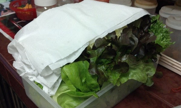 ห่อผักด้วยกระดาษ-1