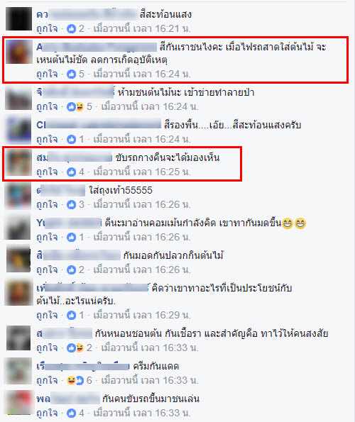 ต้นไม้ทาสีขาว-2