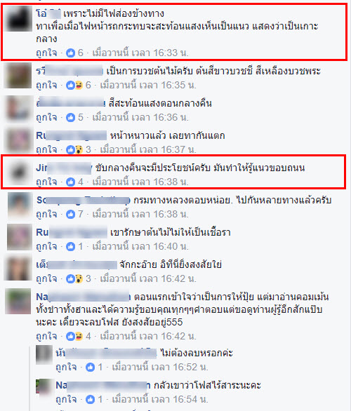 ต้นไม้ทาสีขาว-3