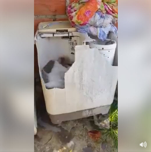 เครื่องซักผ้า-3