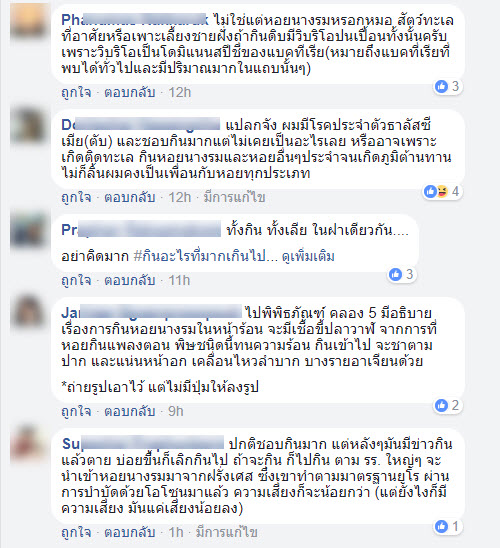 กินหอยนางรม-6