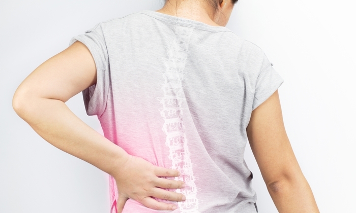 spine bones injury