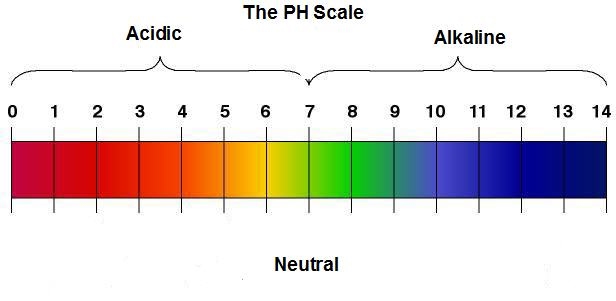 PH-Scale.jpg.1379340891935