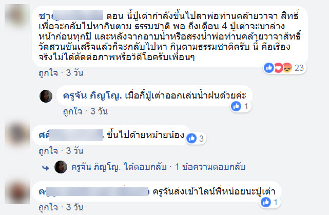 เต่า-8