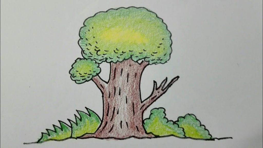 ต้นไม้-1