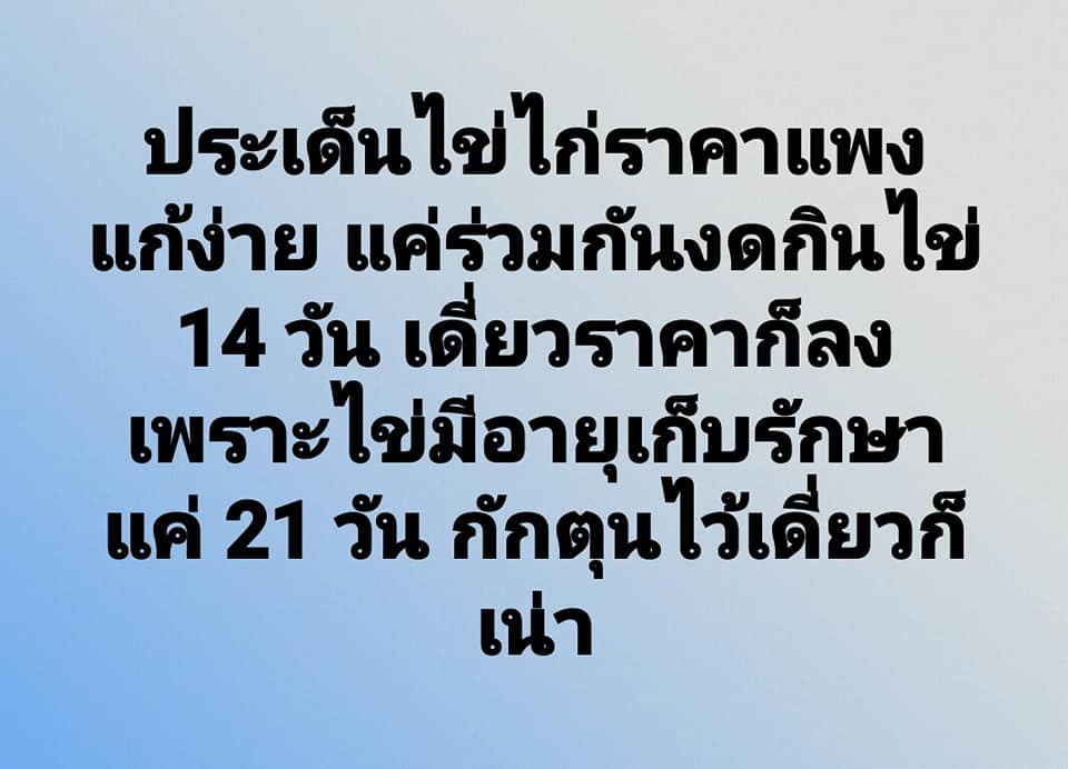 ไข่แพง-5