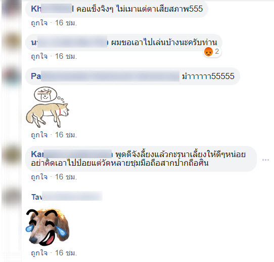 หมา-4