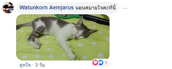 กดสั่งของ-8