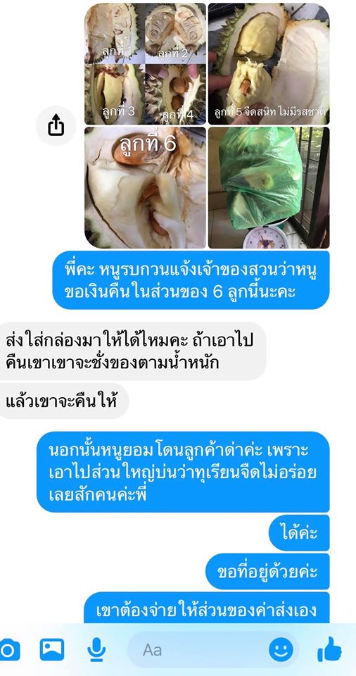 ทุเรียน-10