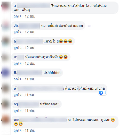 แมวขโมย-5