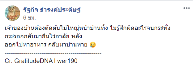 กระรอก-2