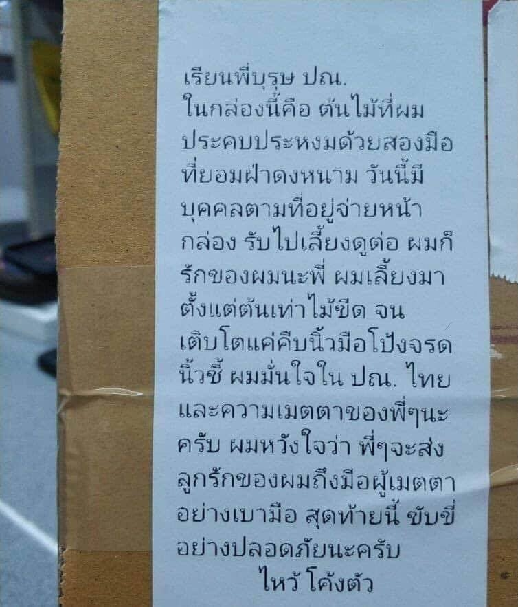 รักษาของ-2