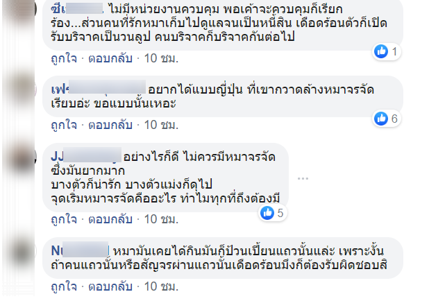 หมาจร-4