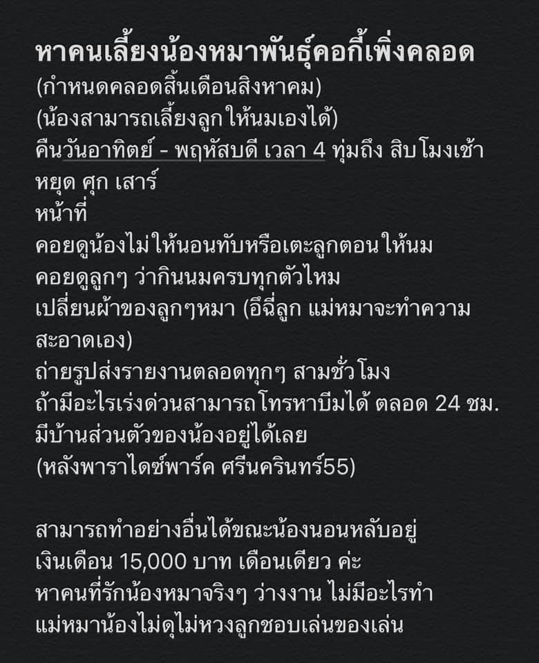 เลี้ยงหมา-2