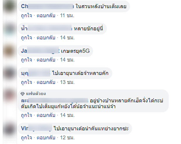 ไมยราบ-5