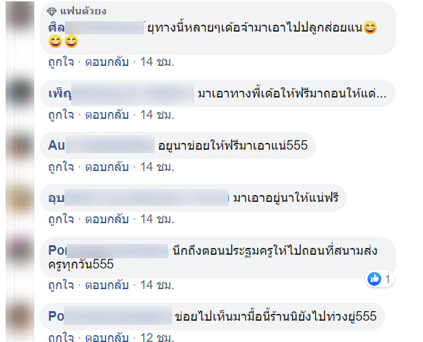 ไมยราบ-6