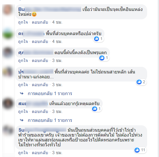 ต้นไม้-4