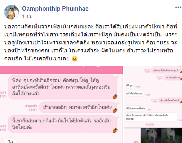 เลี้ยงหมา-1