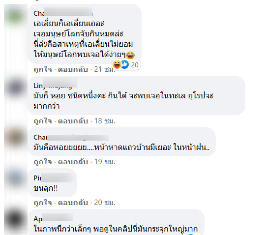 เพรียงคอห่าน-8