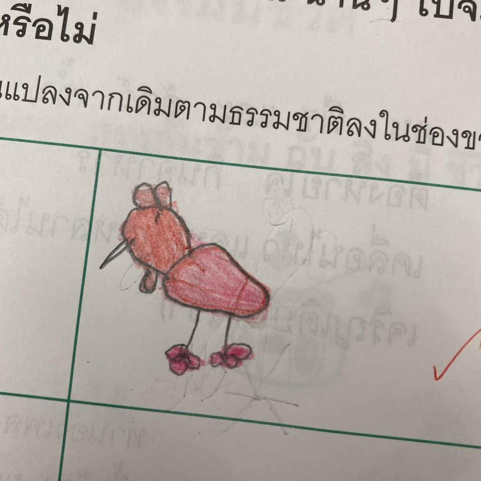 ไก่-11