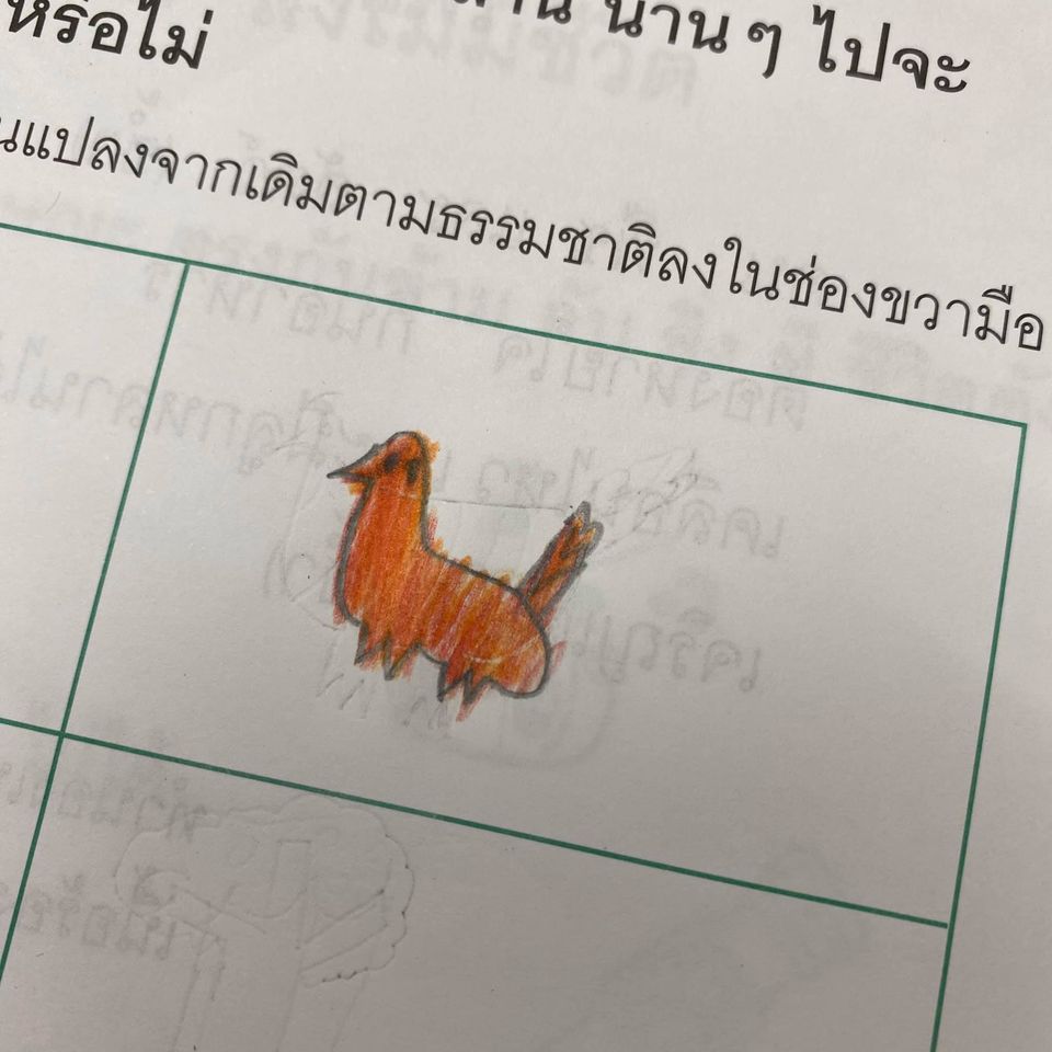 ไก่-19