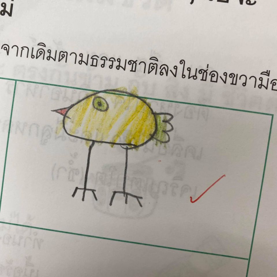 ไก่-23
