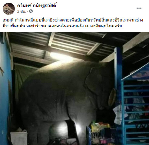 ช้าง-1