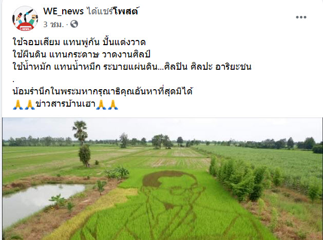 นาข้าว-1