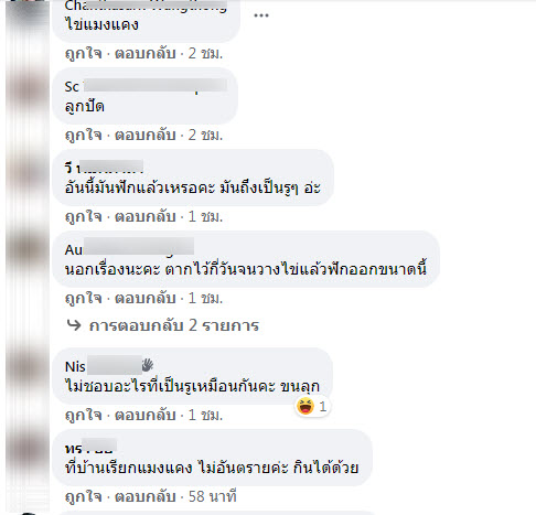 ไข่แมลง-7