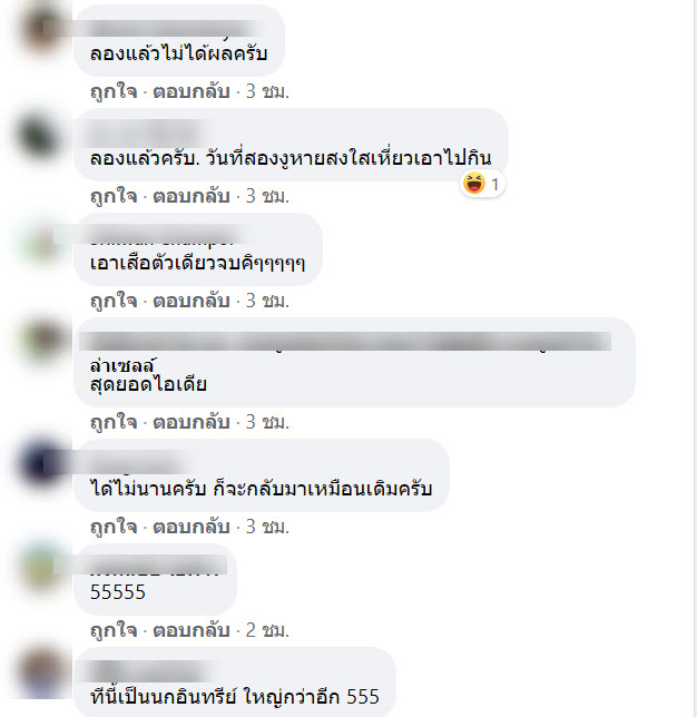 ความคิดเห็น3