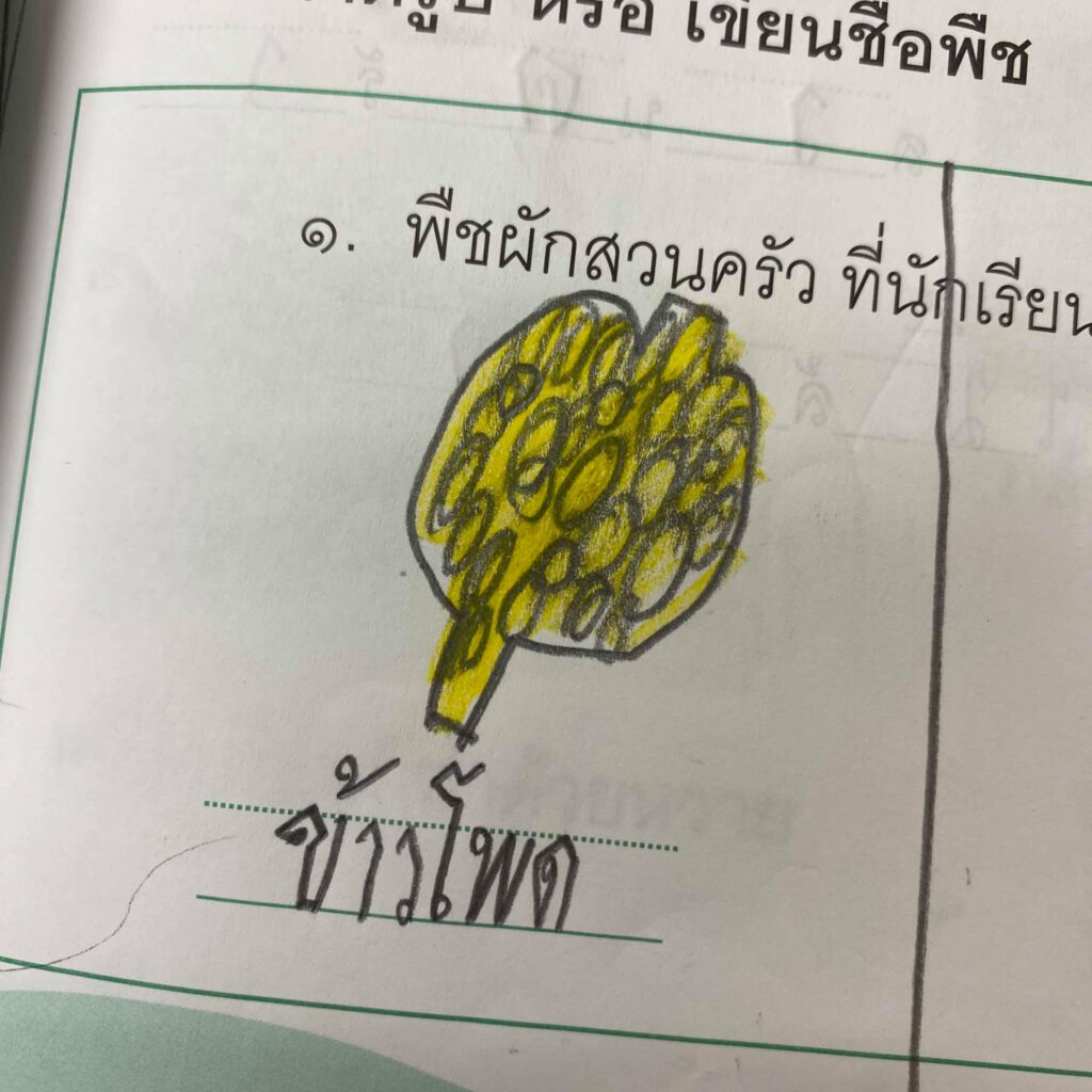 ผัก-2