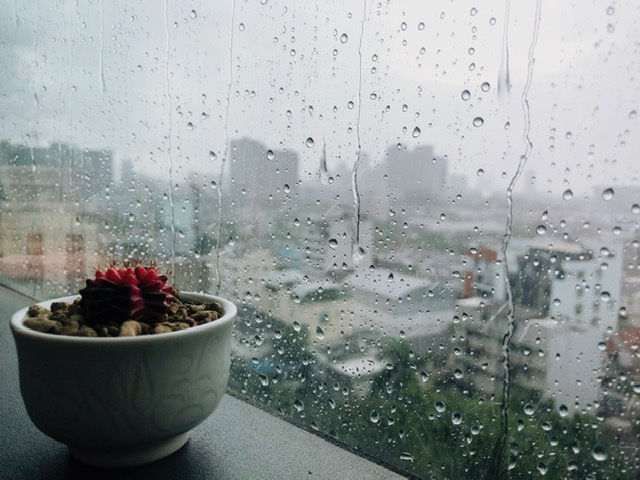 ฝนตก-1