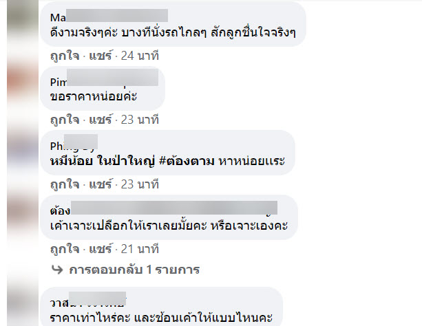 มะพร้าว-8