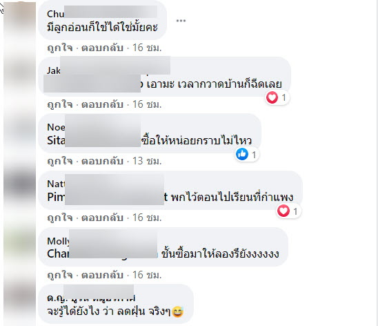 ฝุ่น-5