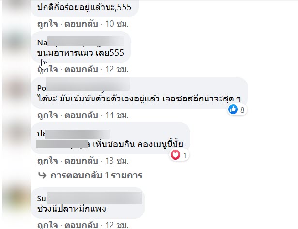 กะเพรา-5