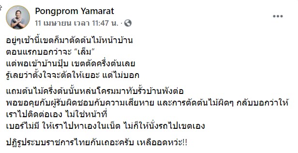 ตัดต้นไม้-1