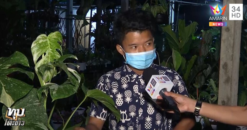 ต้นไม้-3