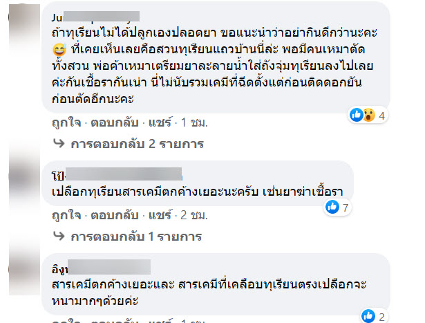 ต้มจืด-5