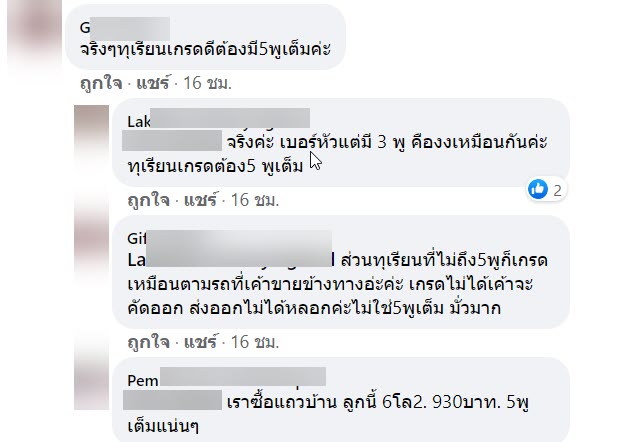 ทุเรียน-3