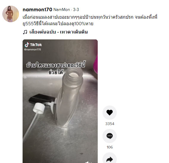 แมลงสาบ-1