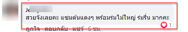 กล้วย-11