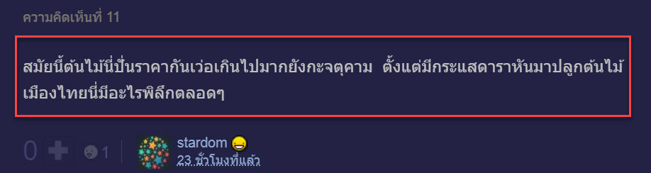 ต้นไม้-8