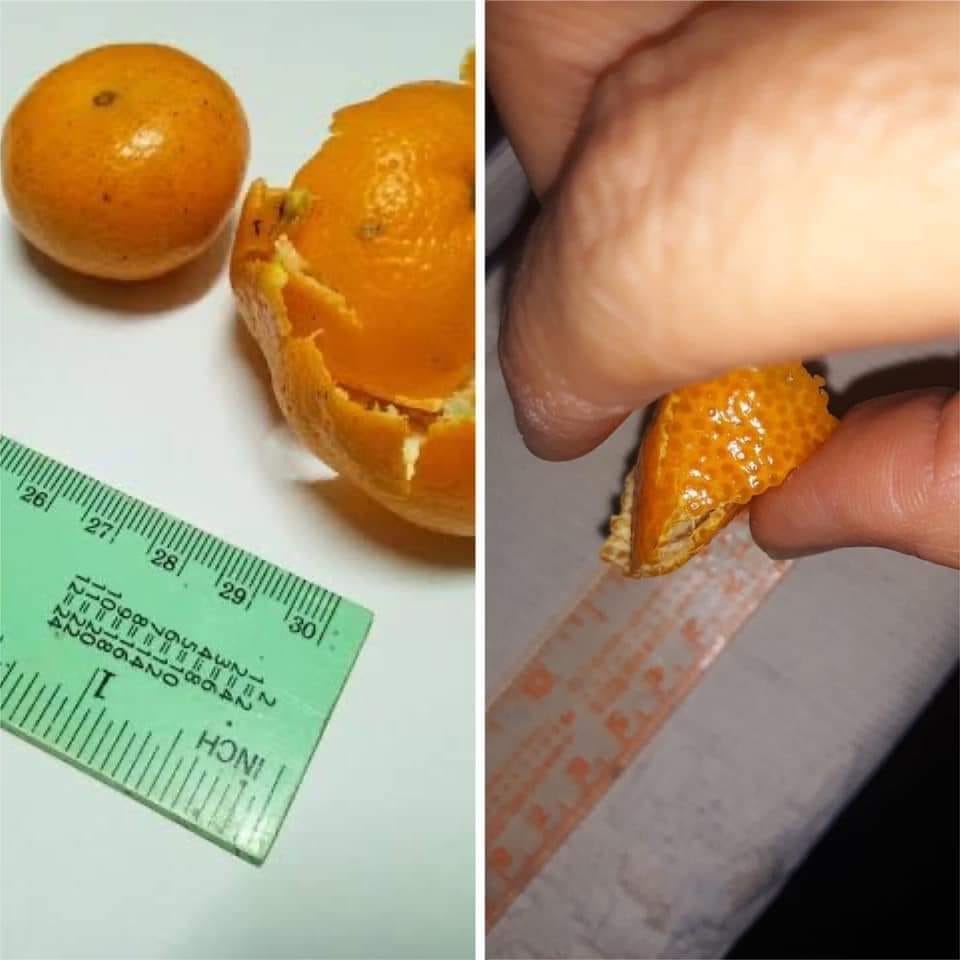 เปลือกส้ม-2