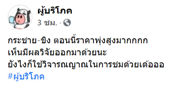 กระชาย-1