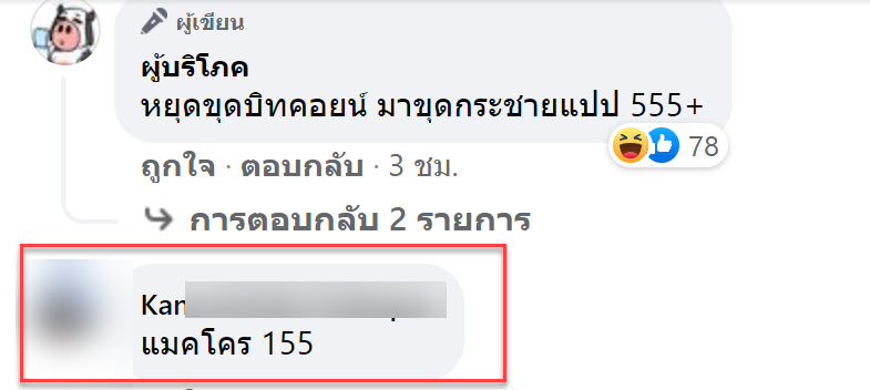 กระชาย-3