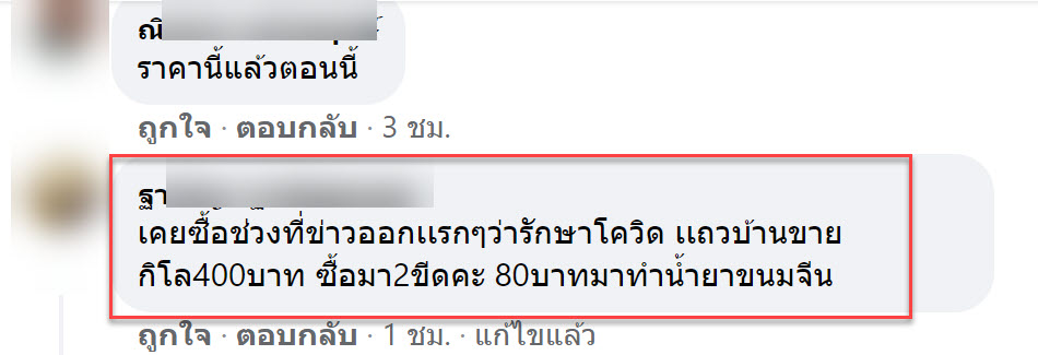 กระชาย-4